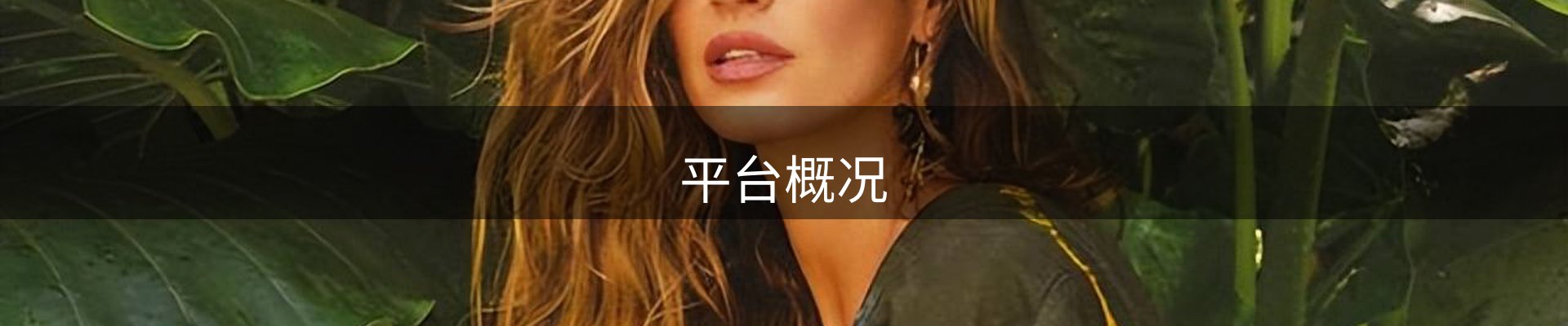 平台概况